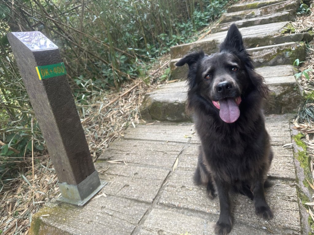 嘉雲二尖山、大尖山_2734878