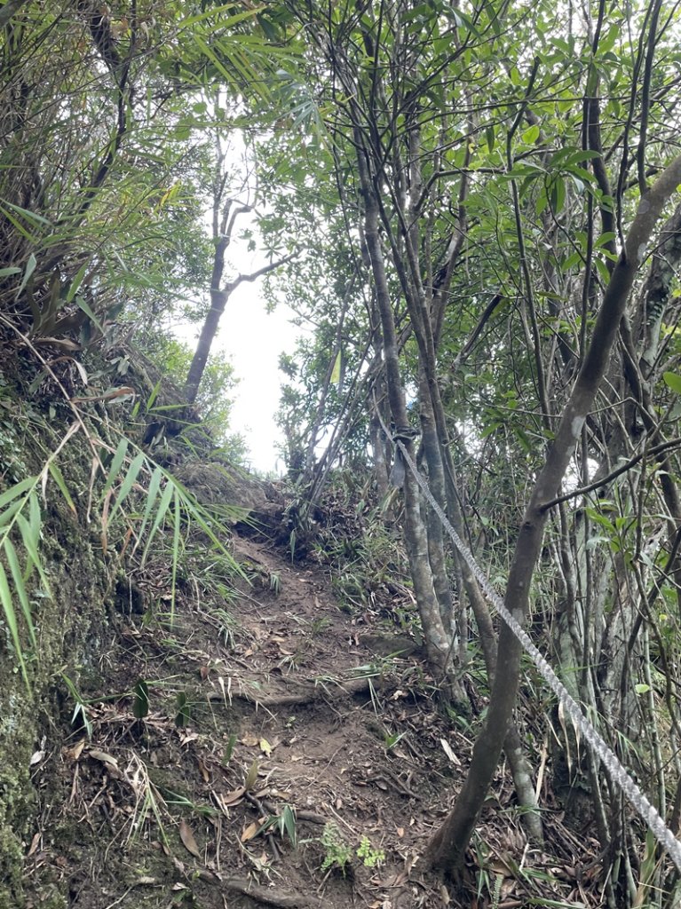石笋古道O型_2553820