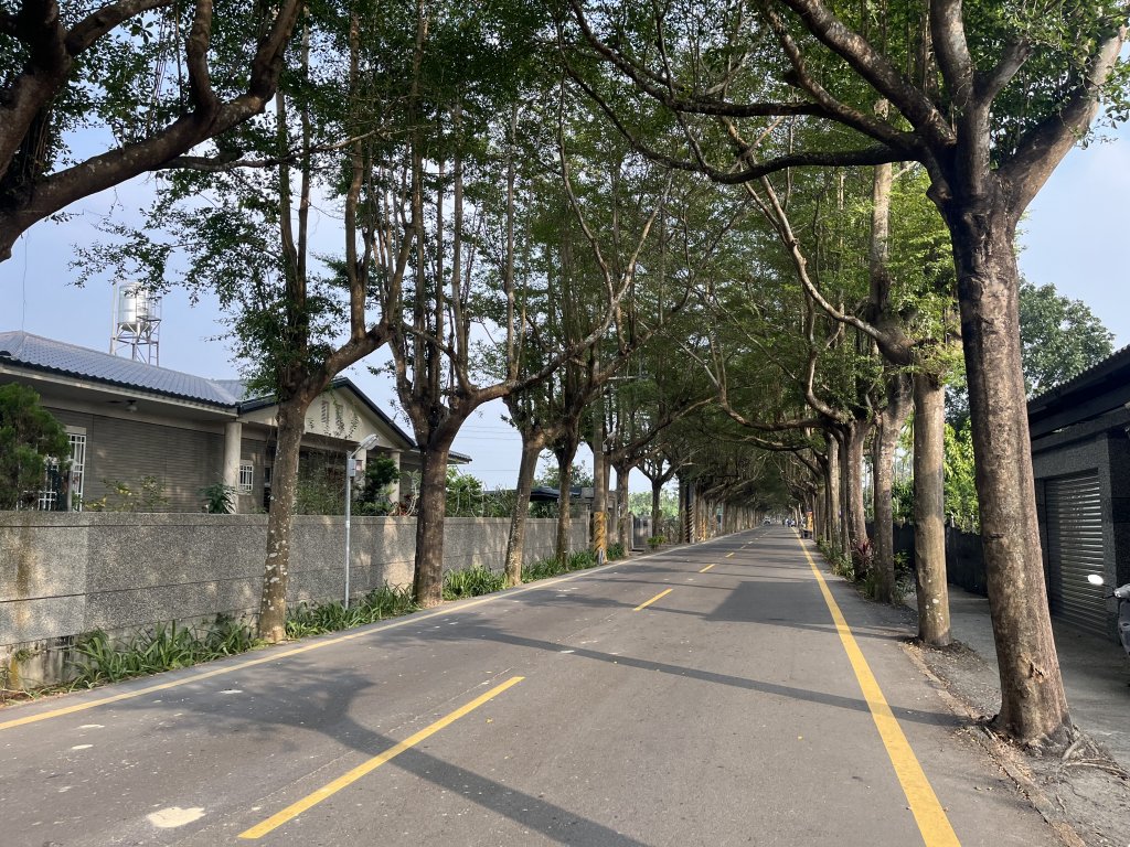 [全臺走路趣尋寶-23/71] 2023_1202 泗林健走步道-潮州綠色隧道_2367386