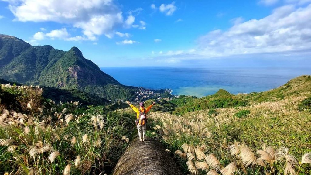 東北角最美賞芒路線封面圖