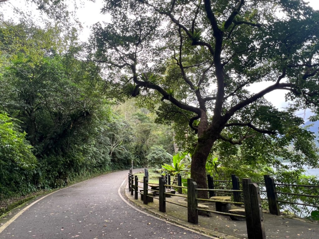 花蓮鯉魚山封面圖