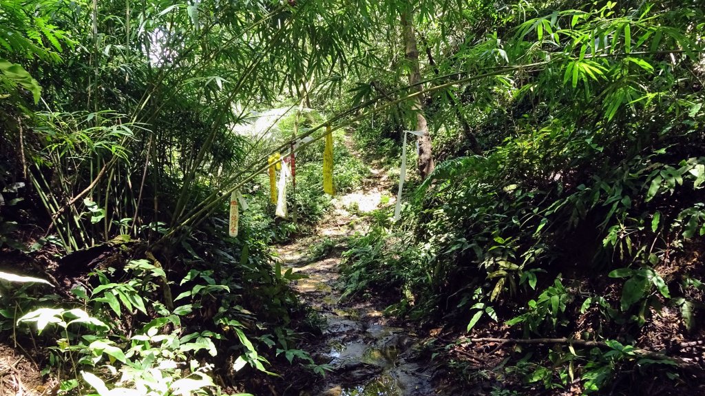 七上八下(七堵上八堵下)_2248805