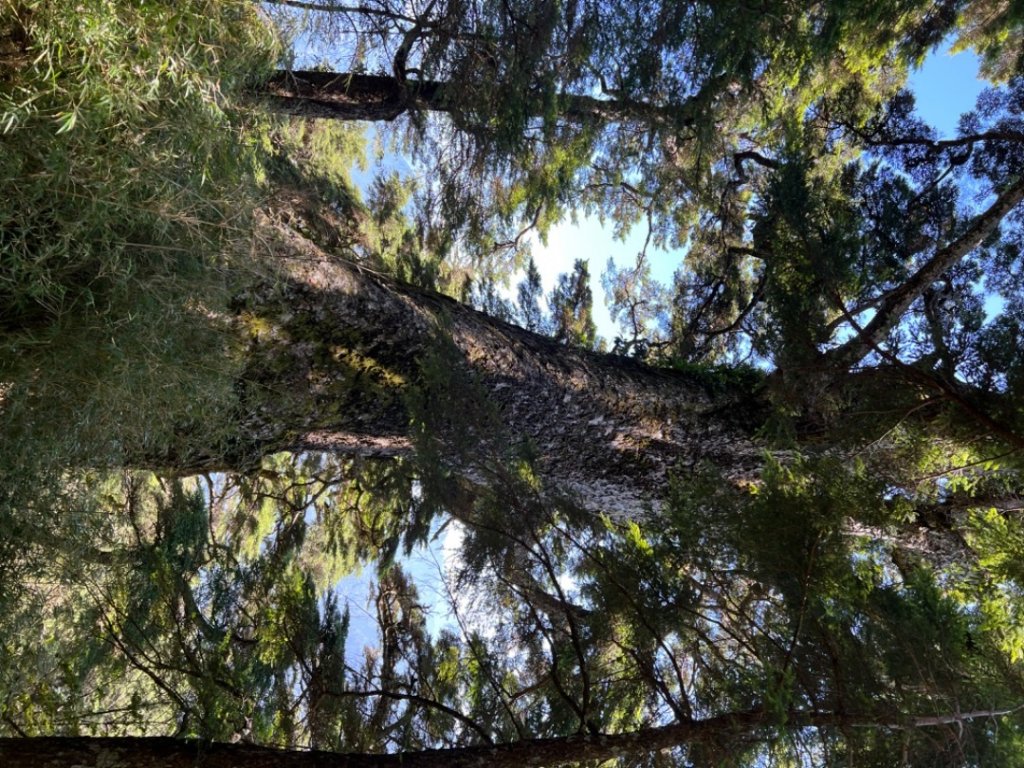 南橫三星_1790683