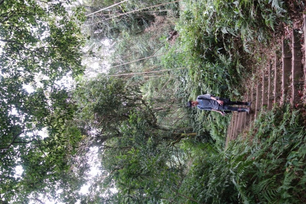 頂湖六連峰_1991716