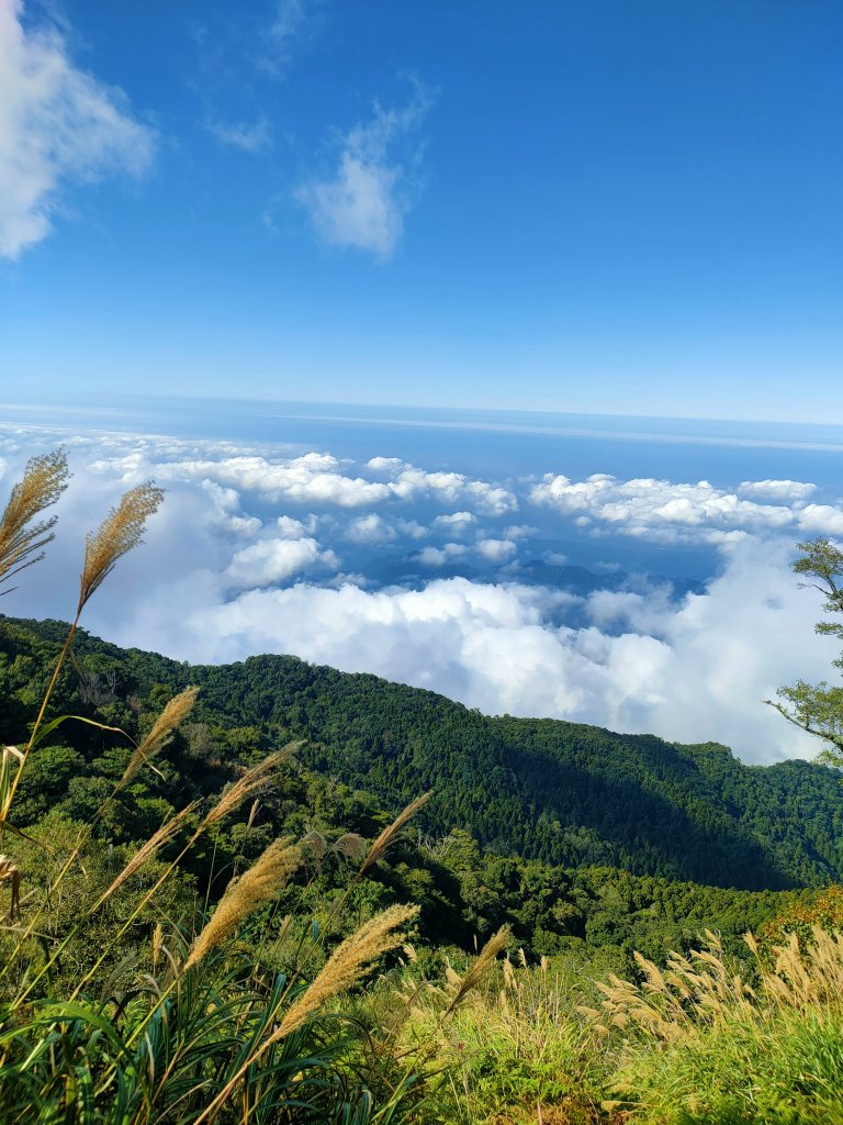 在那遙遠的南庄，有座加里山_1925901