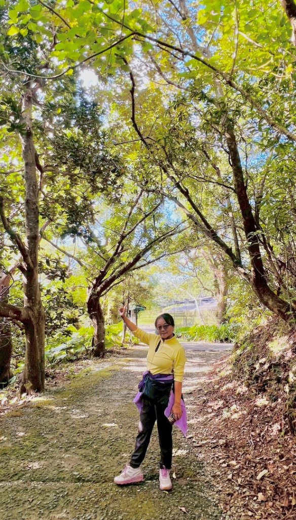 生態環境豐富的仁山植物園 感受鑑湖秋月-梅花湖的魅力_2953881