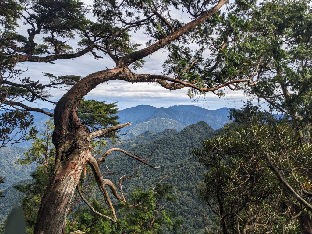 內鳥嘴山封面圖