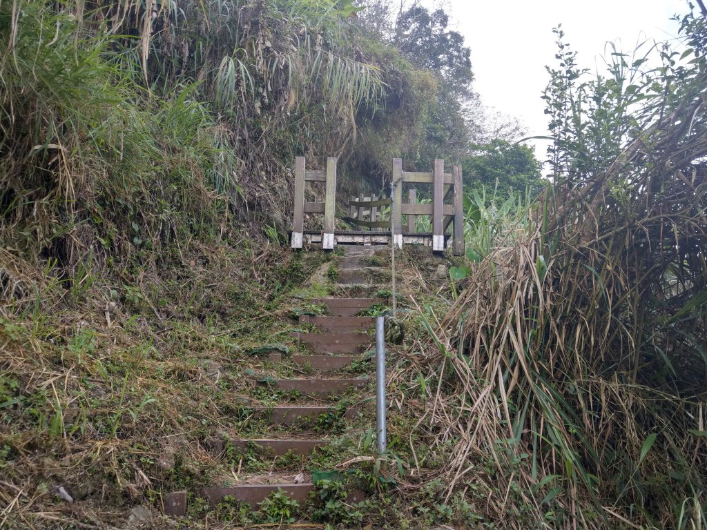 竹子尖山(小百岳#67)：梅龍步道、山稜線步道、觀音步道、階梯步道_1377537