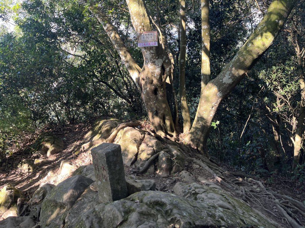 [森遊竹縣-10A/10] 2023_1112 東獅頭山_2347224