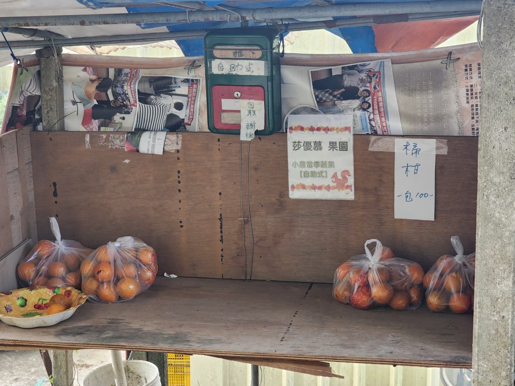 20240324求安隘勇線上阿冷山_2490181