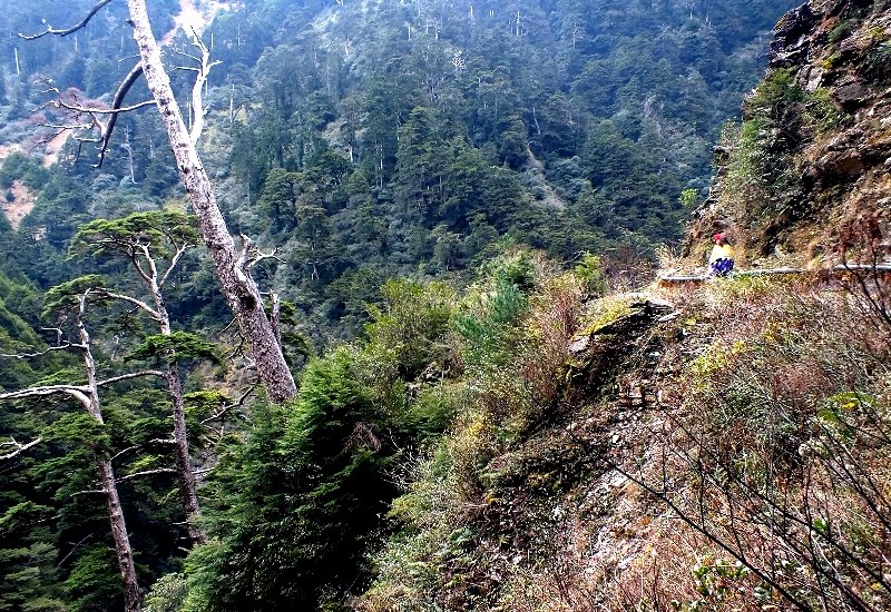 山風15度C吹拂 ~ 合歡溪 步道_1551745