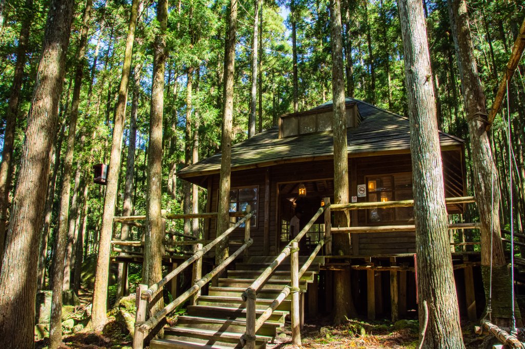 馬武督探索森林_2930680