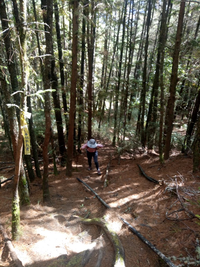 將軍廟上天鑾池+武法奈尾山_1881007