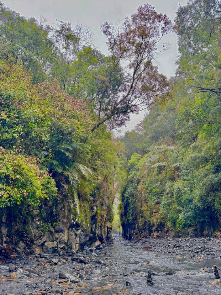 季節限定武界一線天、 摩摩納爾瀑布封面圖