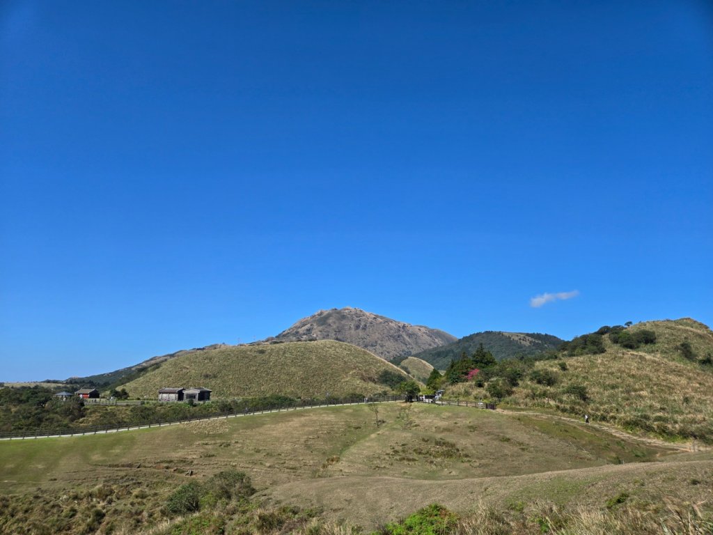 擎天崗環形步道_2722253