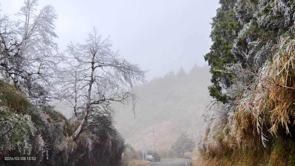 #霧淞 #雲海 #雲瀑 #霧虹 #太平山 #望洋山 #觀雲步道 #翠峰道路  2/8_2995358
