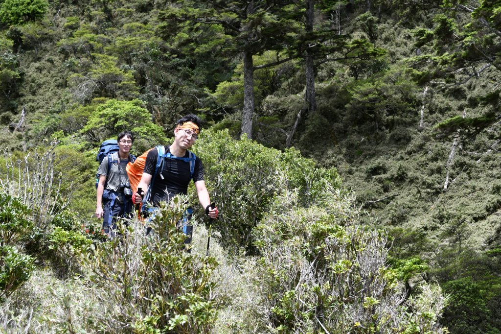 八通關上玉山_1025133