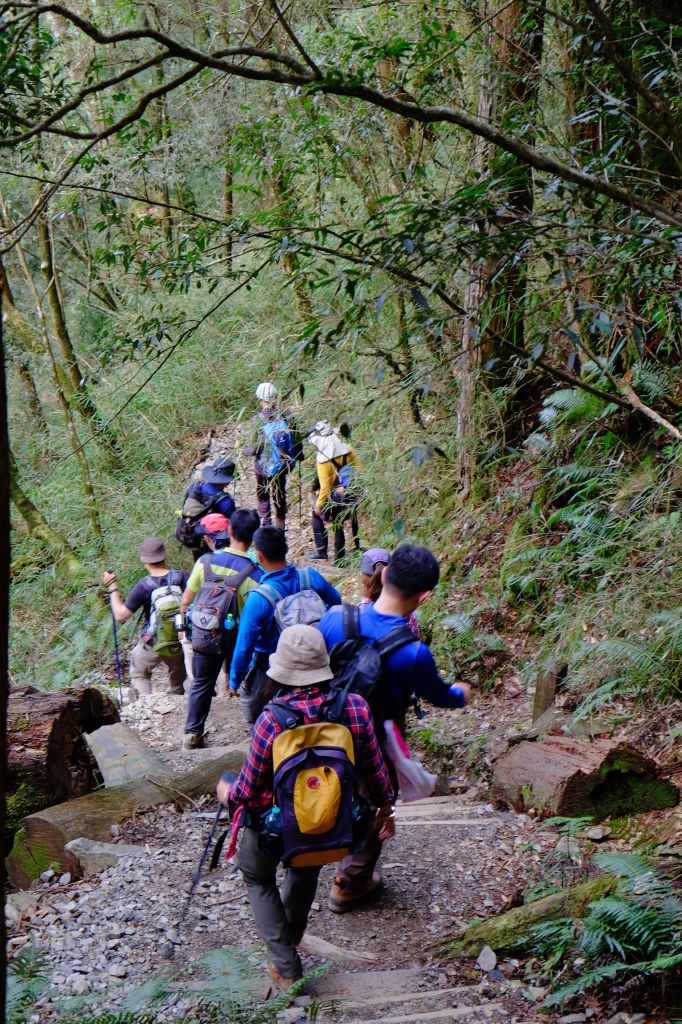 很適合練體力&耐力的八仙山_292008