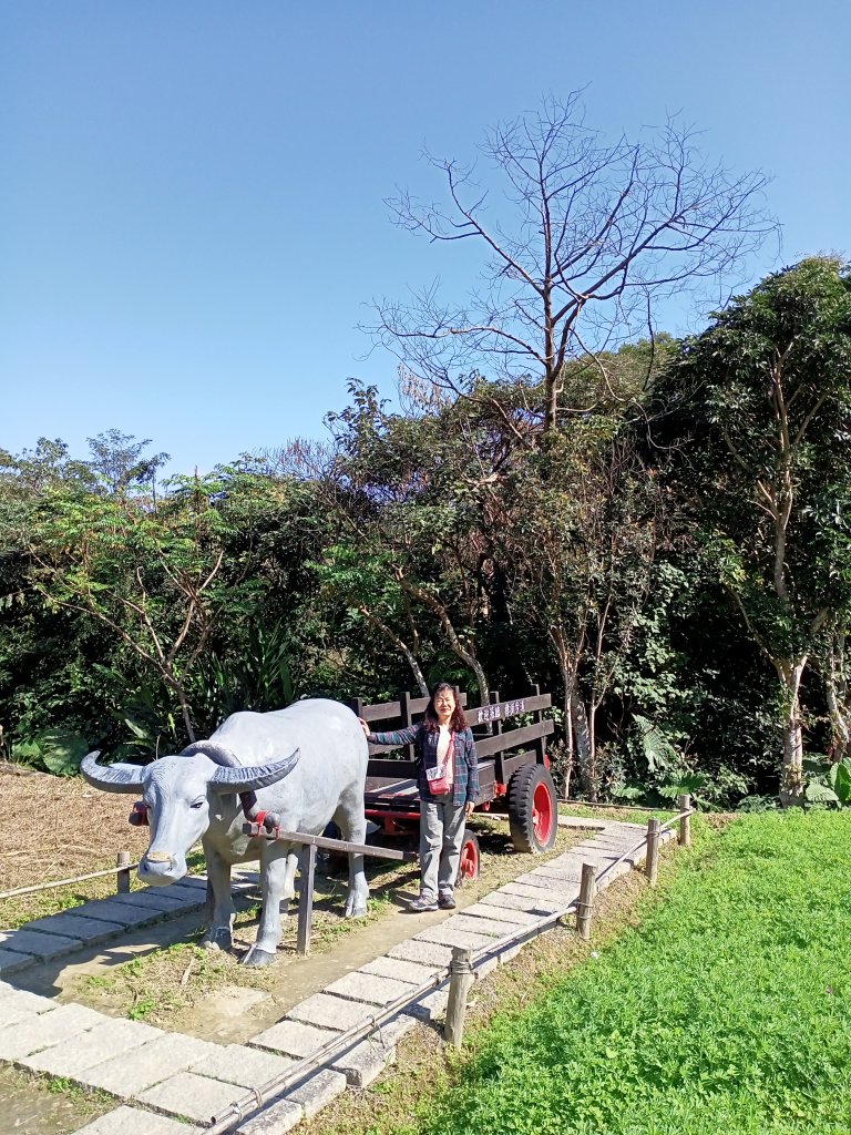 【臺北大縱走 7】貓空站→樟樹、飛龍步道_1254513