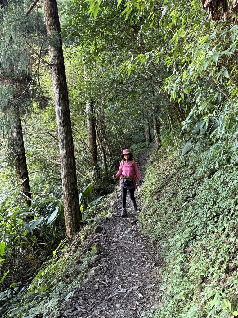 山毛櫸掉光光的 卡保逐鹿O繞 20251115_2937444