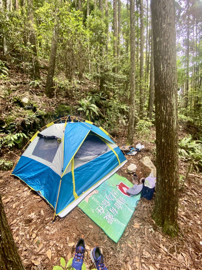 醜崠山納涼趣    2024/6/23_2534876