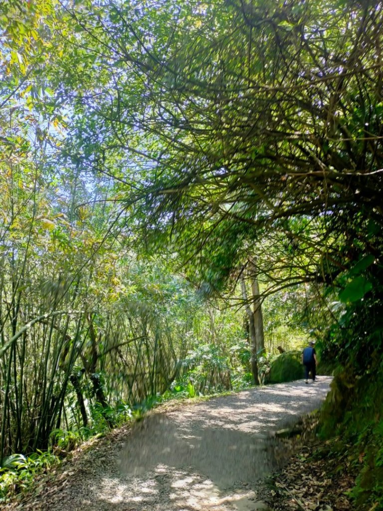 ［淡蘭古道石碇段］：外按古道，烏塗溪古道_2239716