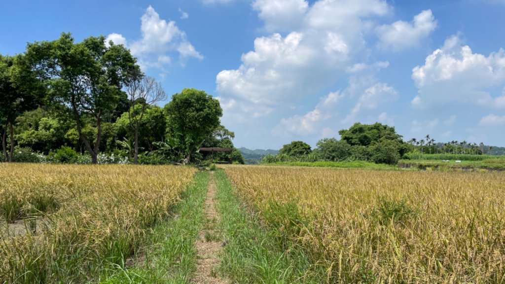 挑水壢古道封面圖