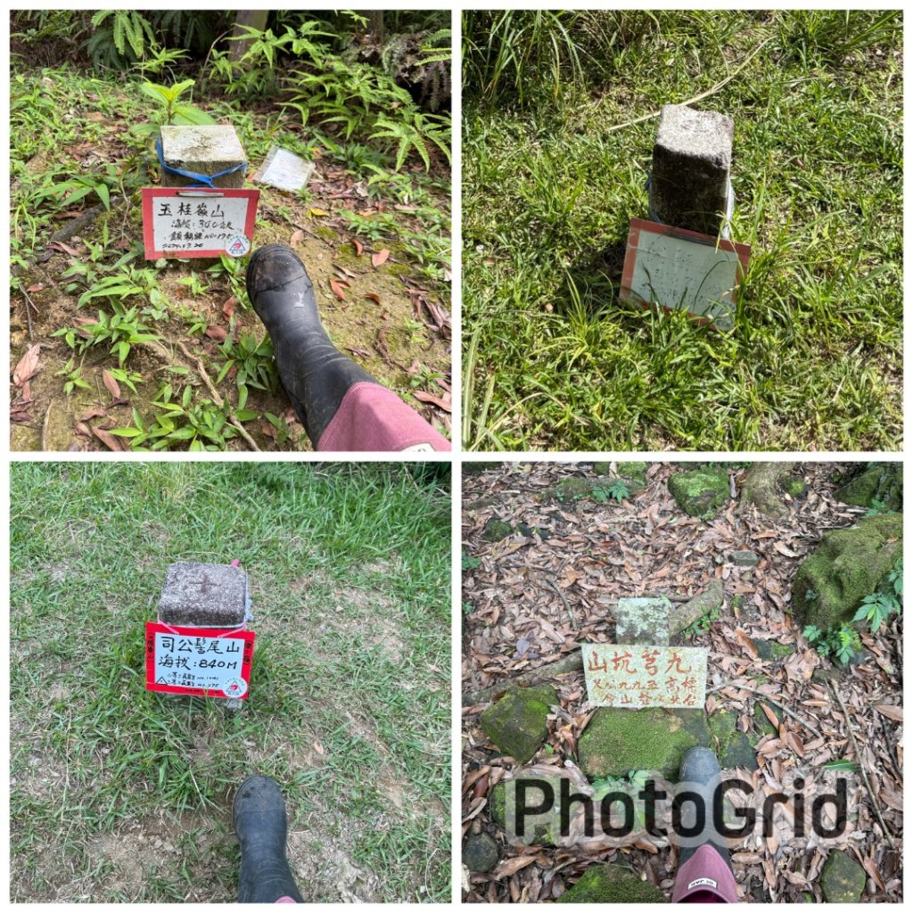 20250518 玉桂嶺山 》司公髻尾山 》九芎坑山》 豬厝步道口  （ 大坪產道）封面圖
