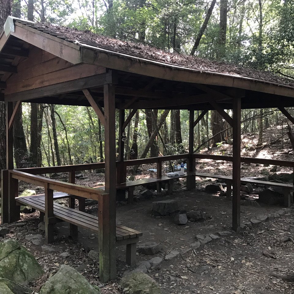 谷關七雄 波津加山（老四）2022.11.21_1922865