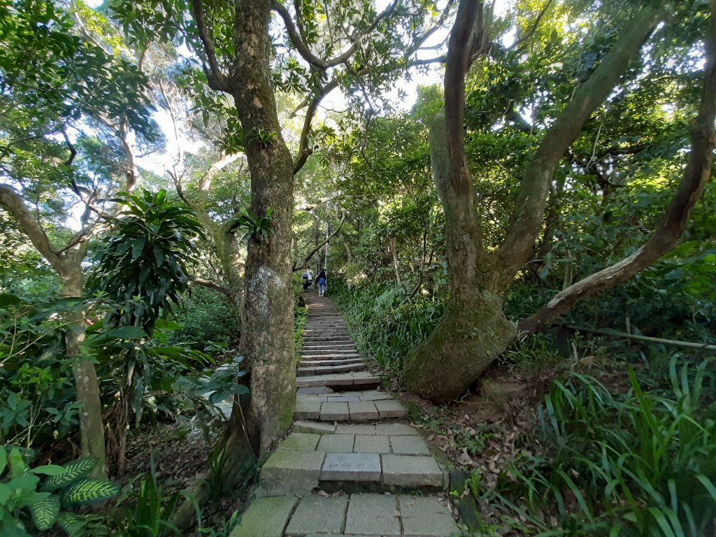 虎、豹、獅、象、九五峰、南港山、拇指山_1145224