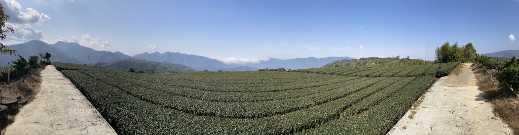 20260217月眉山+海鼠山+奮瑞古道封面圖