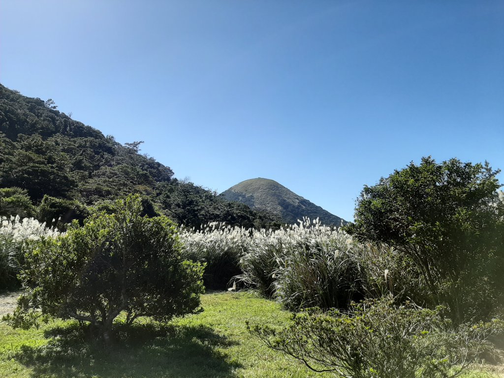 臺北大縱走1：走到快厭世！關渡至二子坪_736790