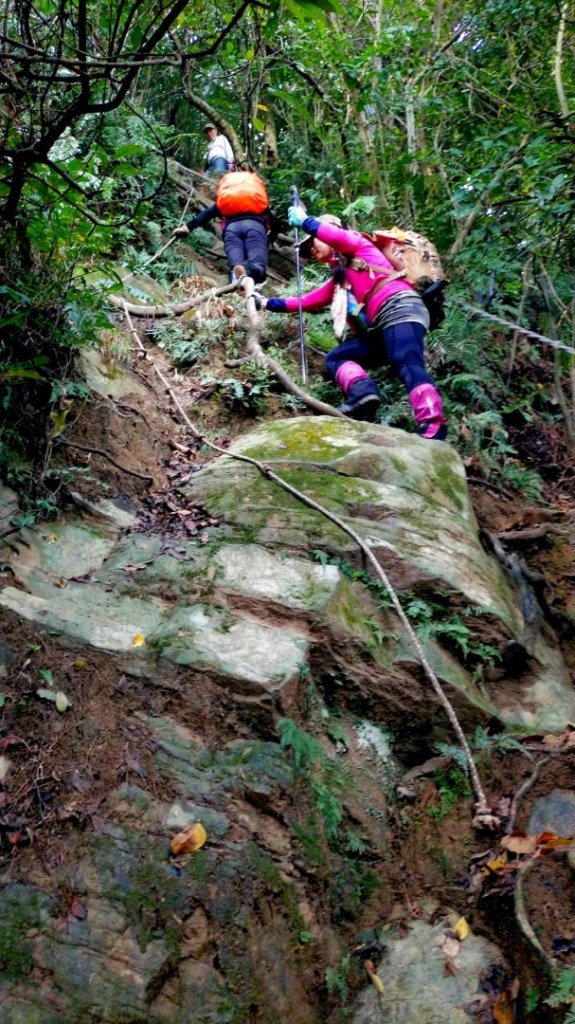 秘境上的兩顆小百岳_2357056