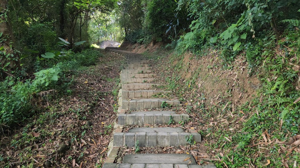 新竹新埔｜文山步道｜犁頭山_2891103