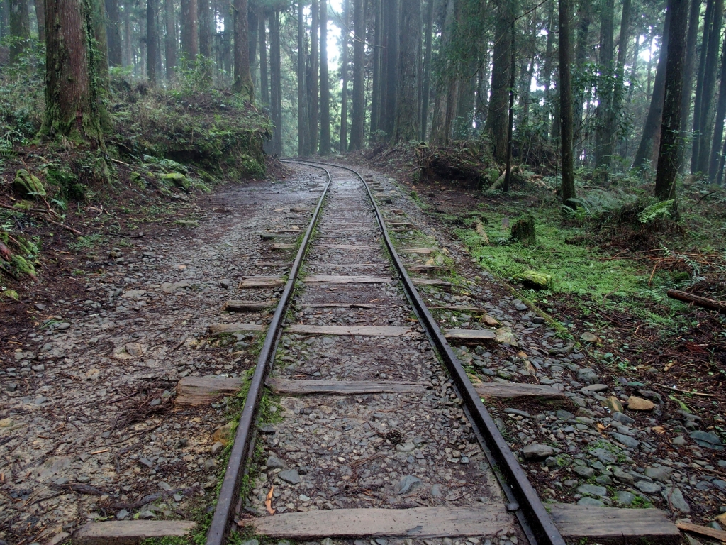 特富野古道_90533