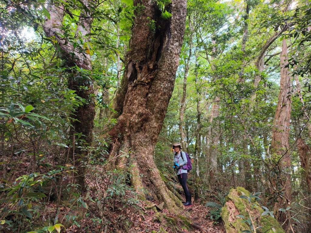 1130511夫拉縱走_2500136