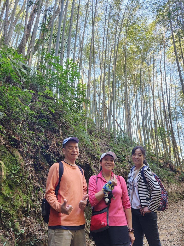 雲嶺之丘連走木馬古道O繞_2665860