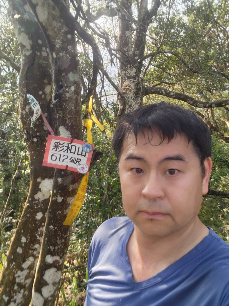 20250309高甫山彩和山大庭頂山金山O型_2769619