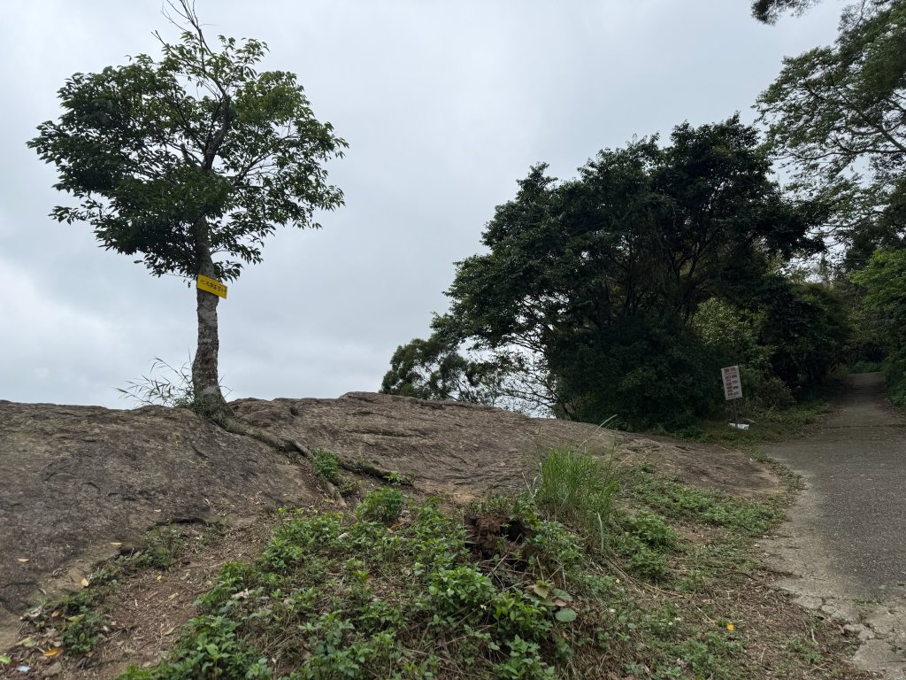 獅猿縱走_2749095