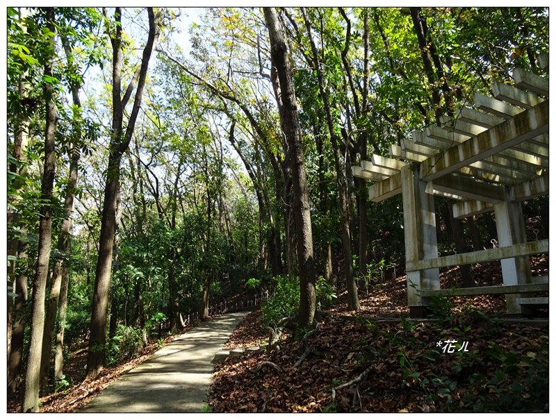 望月峰/獻堂登山步道_925990