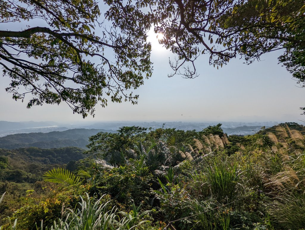 2022.03.19－福源山_1647695