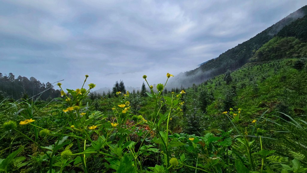 112.04.08 油羅山_2123527