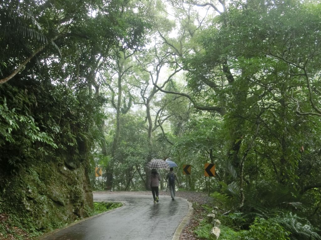 百吉林蔭步道．慈湖頭寮_221580