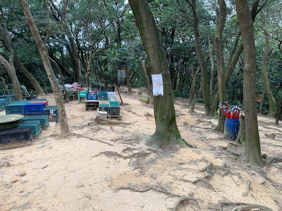 福人登山步道縱走大北坑_2063353