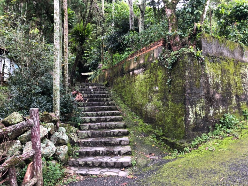 嘉義連峰獨立山大巃頂紅楠坑觀音石阿拔泉_633174