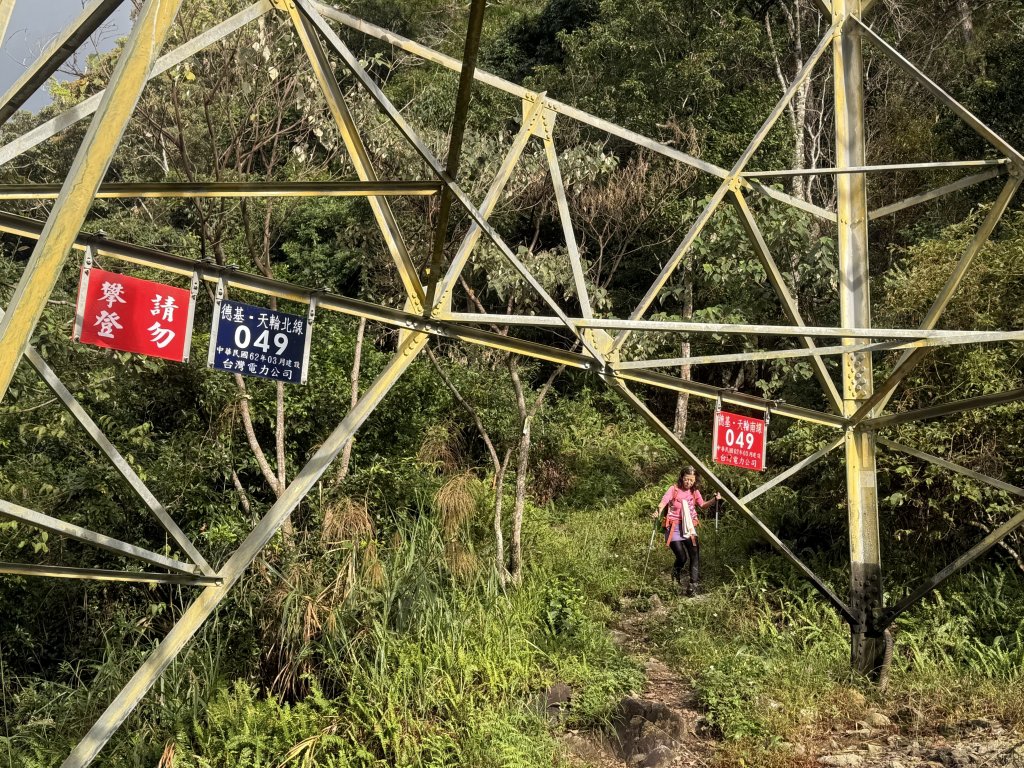 回程下雨的 松鶴上 八仙山 20251025_2925766