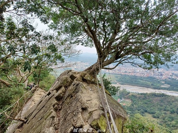 【高雄。旗山】小百岳集起來。 編號76小百岳-旂尾山步道封面圖