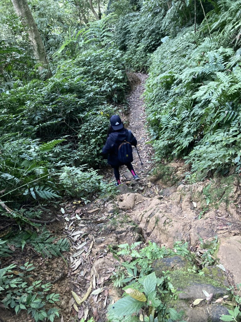 二格山_2449802