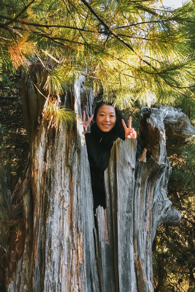 不可思議嘉明湖_226323