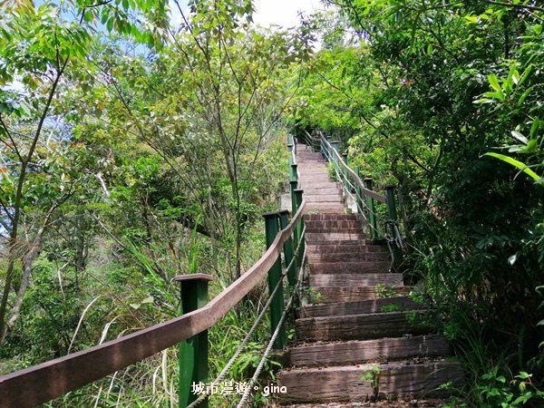 南投魚池~汗流浹背的陡峭階梯~後尖山步道_1058411